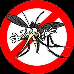 ÉRTESÍTÉS földi-kémiai (melegködös) szúnyoggyérítésről