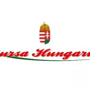Bursa Hungarica Felsőoktatási Önkormányzati Ösztöndíjpályázat 2024