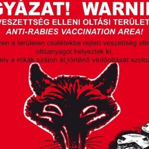 Lakossági tájékoztatás a rókák veszettség elleni immunizálási kampányáról